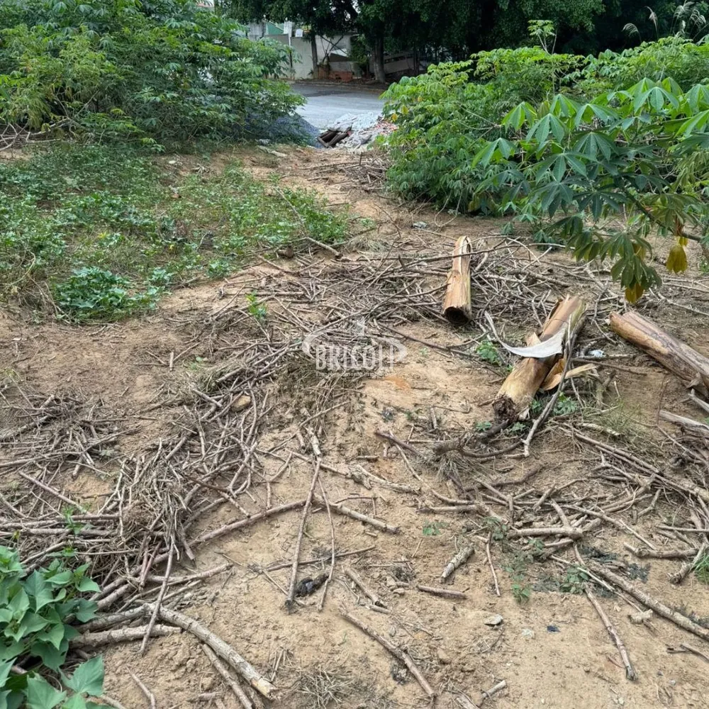 Terreno, 264 m² - Foto 5