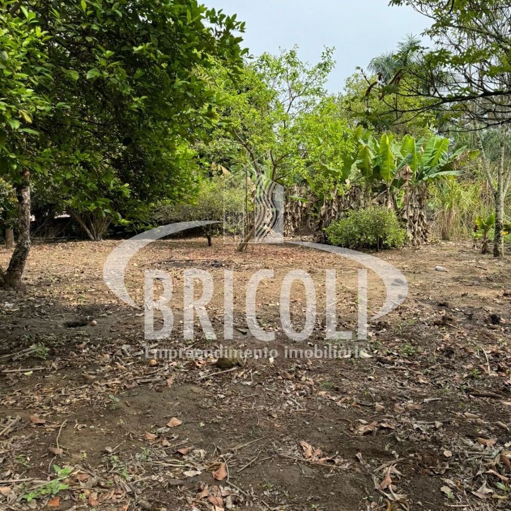 Chácara, 1 quarto - Foto 4