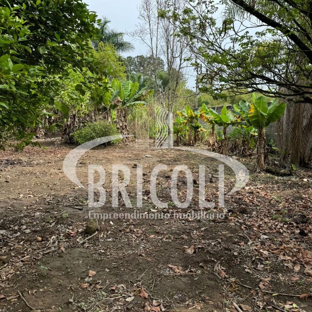 Chácara, 1 quarto - Foto 3