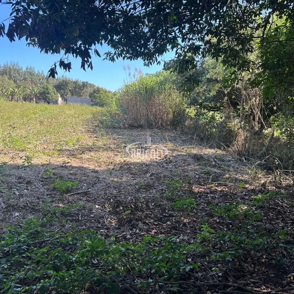 Terreno, 2386 m² - Foto 3