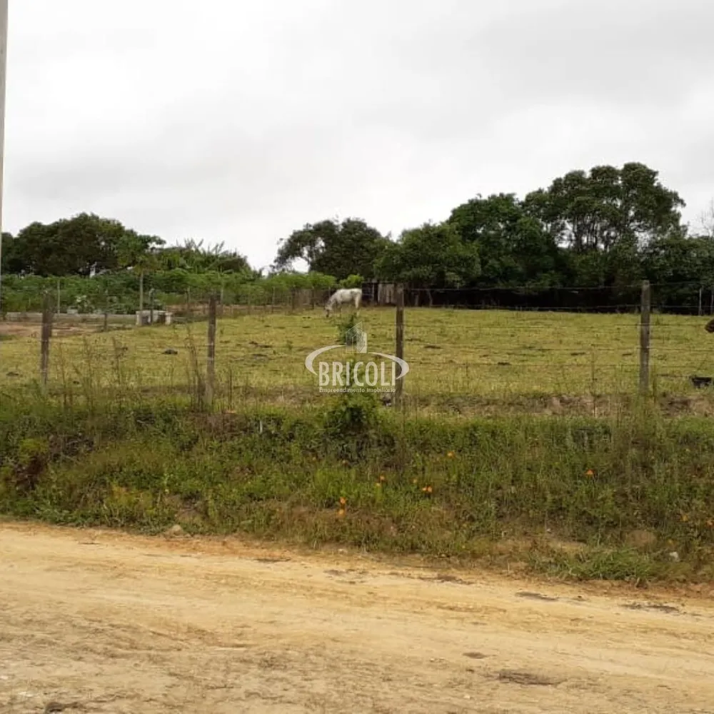 Terreno, 2800 m² - Foto 6