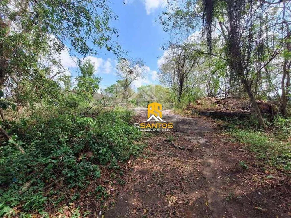 Loteamento e Condomínio, 2 hectares - Foto 6