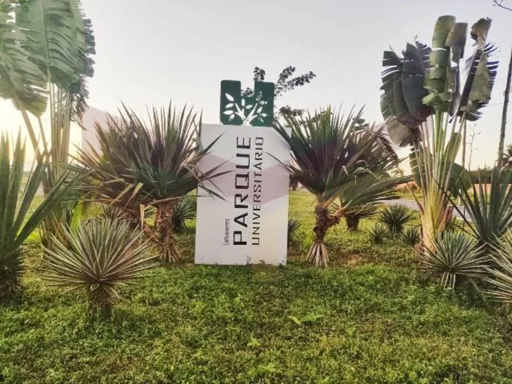 Terreno, 160 m² - Foto 6