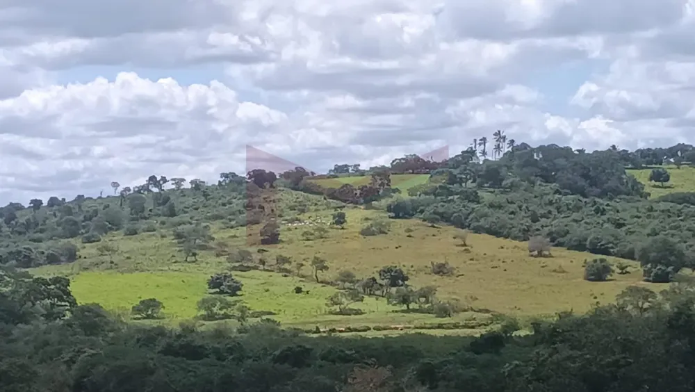 Fazenda, 209 m² - Foto 3