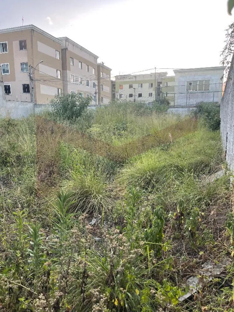 Terreno, 500 m² - Foto 2