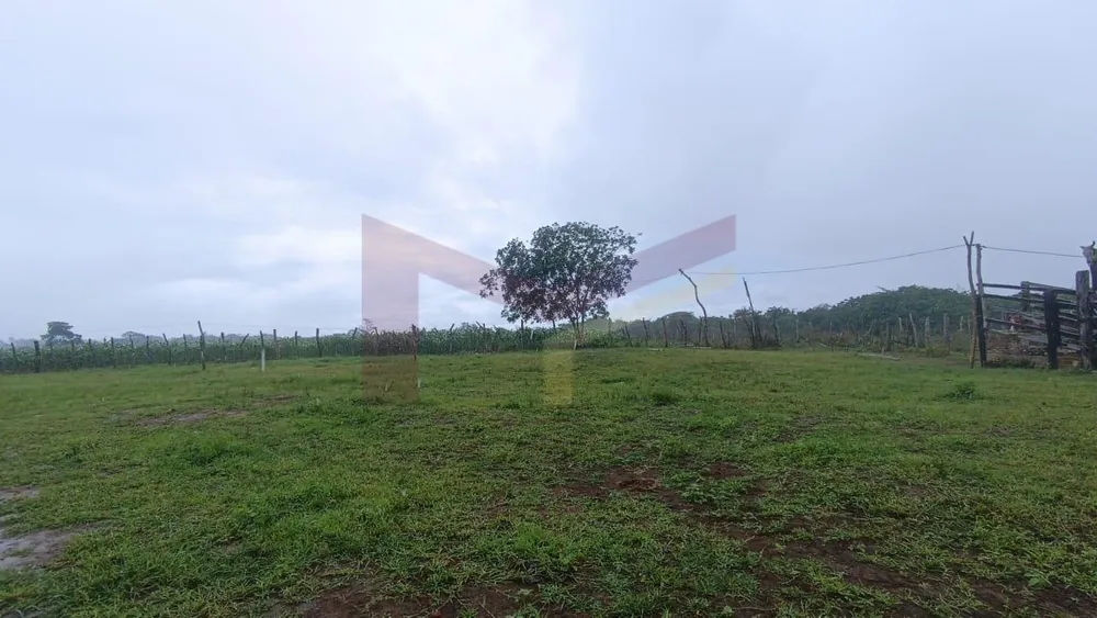 Fazenda, 64 hectares - Foto 4