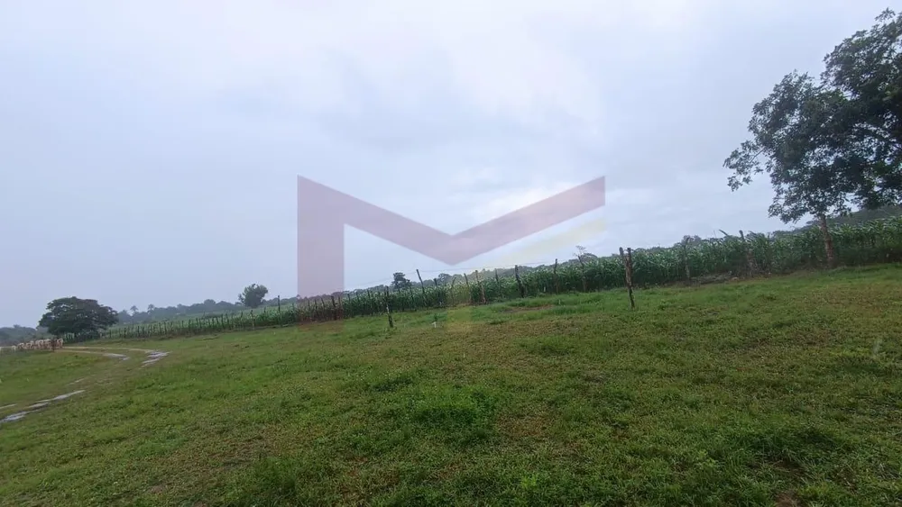 Fazenda, 64 hectares - Foto 3