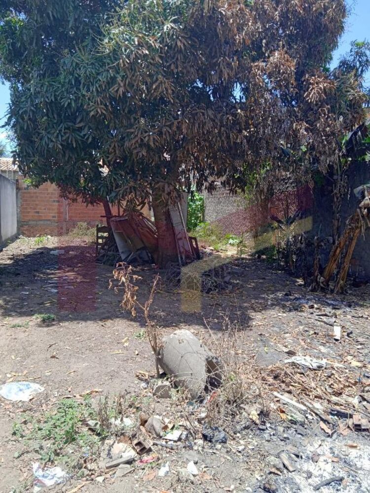 Terreno, 250 m² - Foto 6