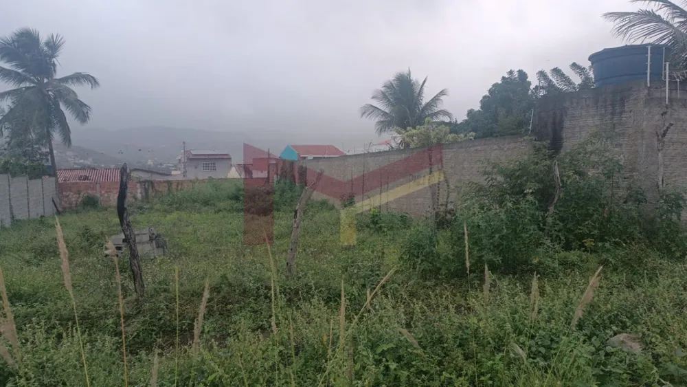 Terreno, 429 m² - Foto 6