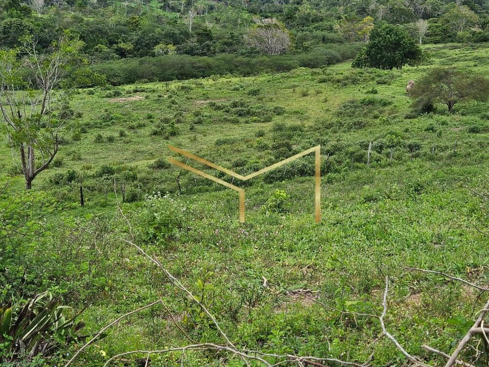 Sítio, 5 quartos, 17 hectares - Foto 1