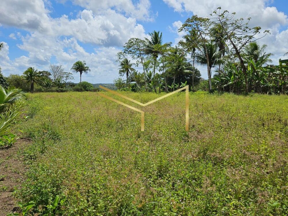 Sítio, 5 quartos, 17 hectares - Foto 12