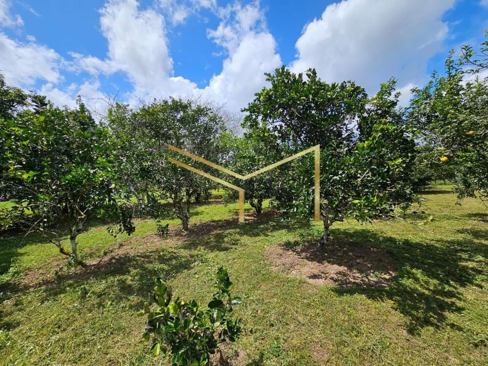 Sítio, 5 quartos, 17 hectares - Foto 15