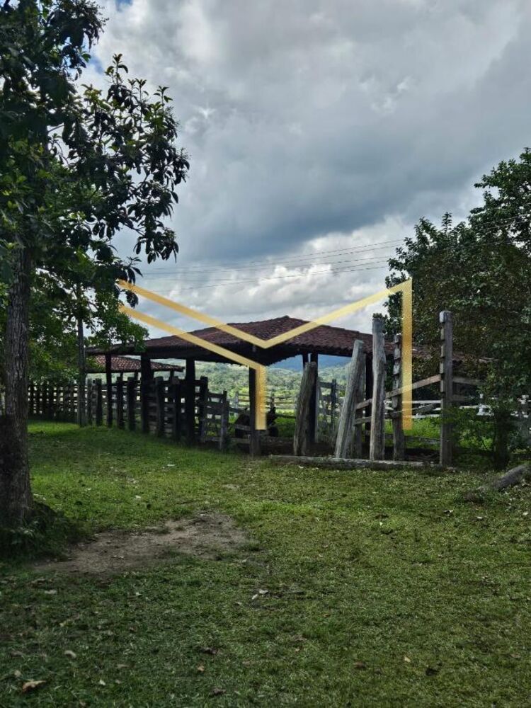 Sítio, 5 quartos, 17 hectares - Foto 18