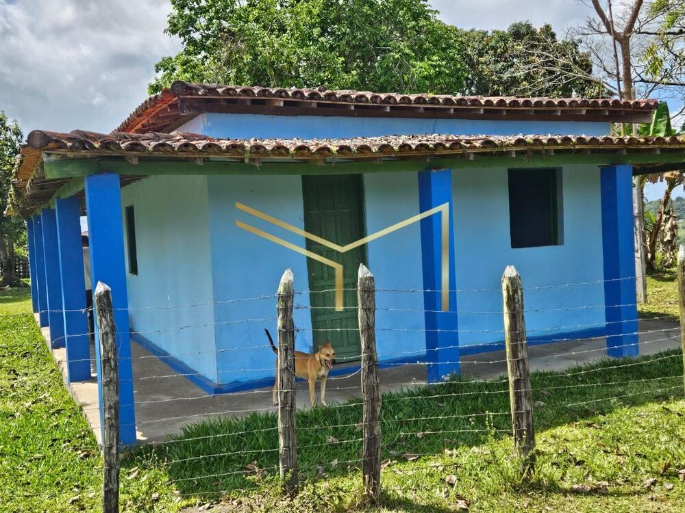 Sítio, 5 quartos, 17 hectares - Foto 8