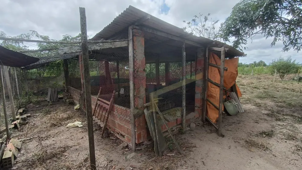Sítio, 3 quartos, 7 hectares - Foto 8