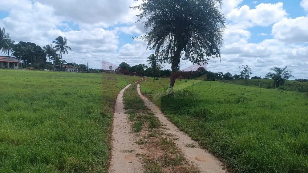 Sítio, 3 quartos, 7 hectares - Foto 4