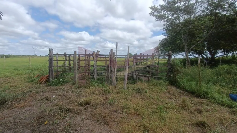 Sítio, 3 quartos, 7 hectares - Foto 3