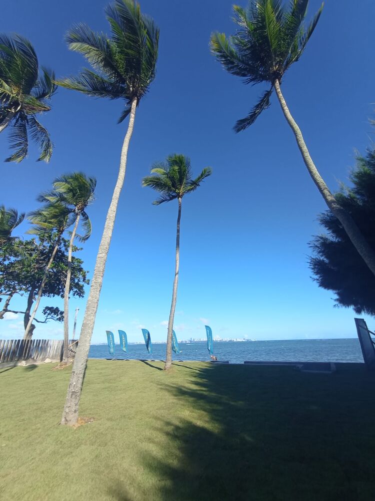 Apartamento, 2 quartos, 65 m² - Foto 3