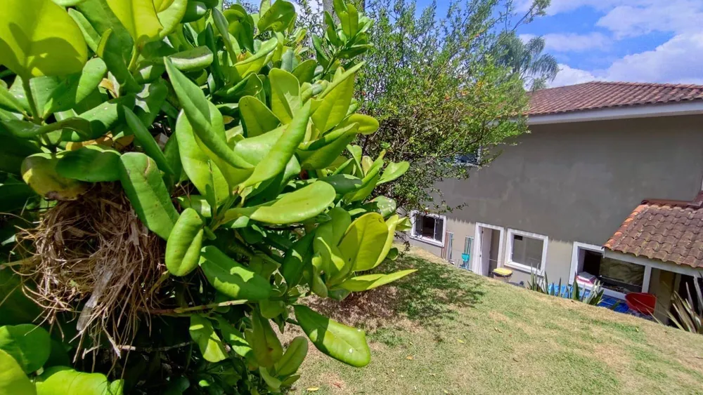 Casa, 4 quartos, 230 m² - Foto 5
