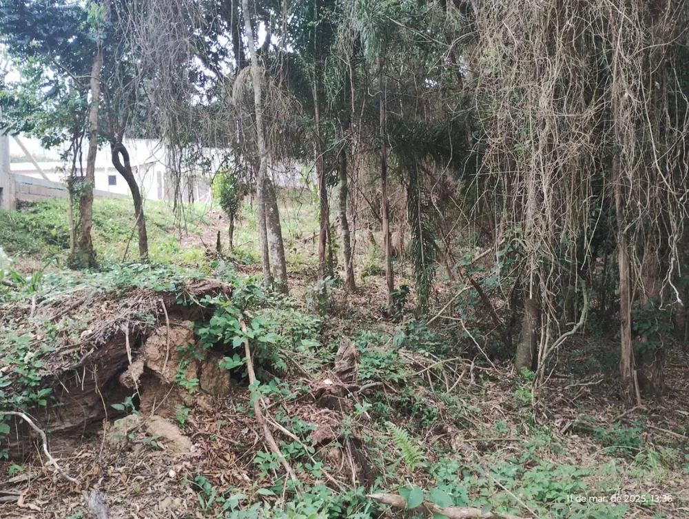 Terreno, 1210 m² - Foto 3