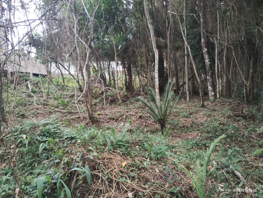 Terreno, 1210 m² - Foto 6