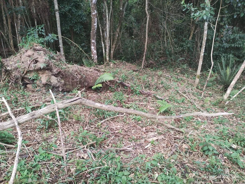 Terreno, 1210 m² - Foto 7