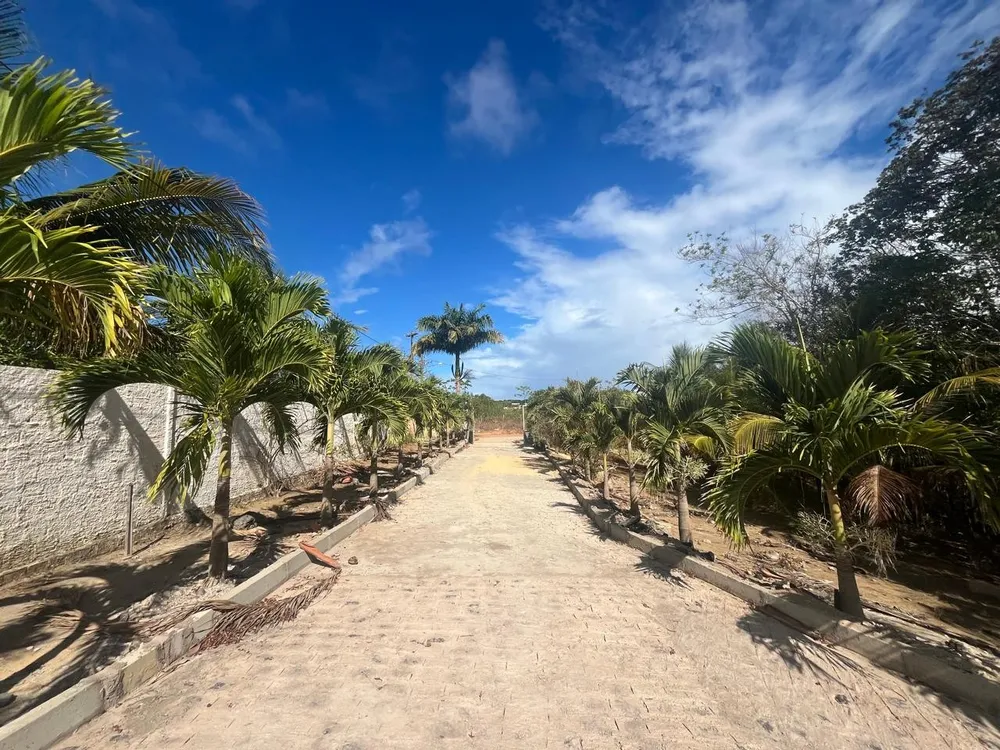 Chácara, 3 quartos, 7800 m² - Foto 6