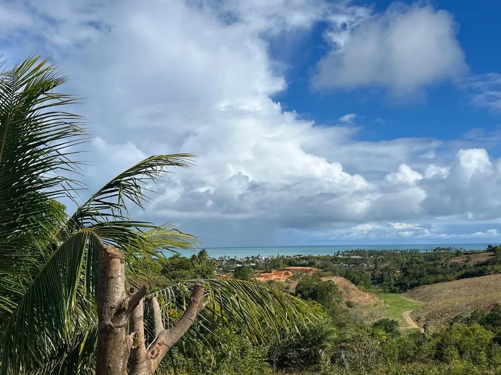 Chácara, 3 quartos, 7800 m² - Foto 8