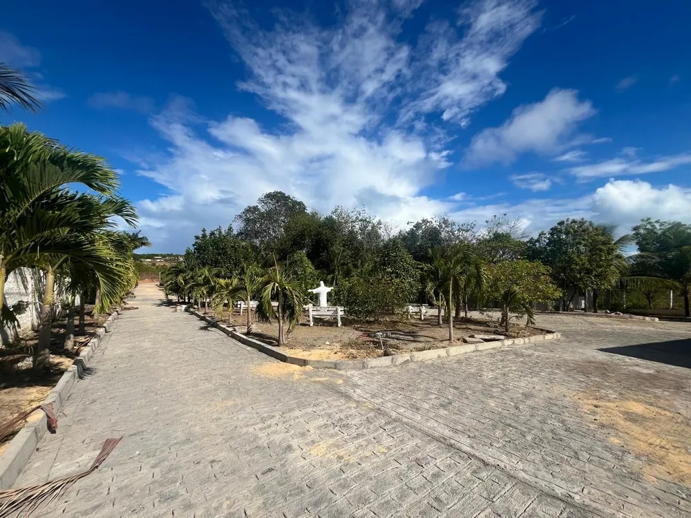 Chácara, 3 quartos, 7800 m² - Foto 5