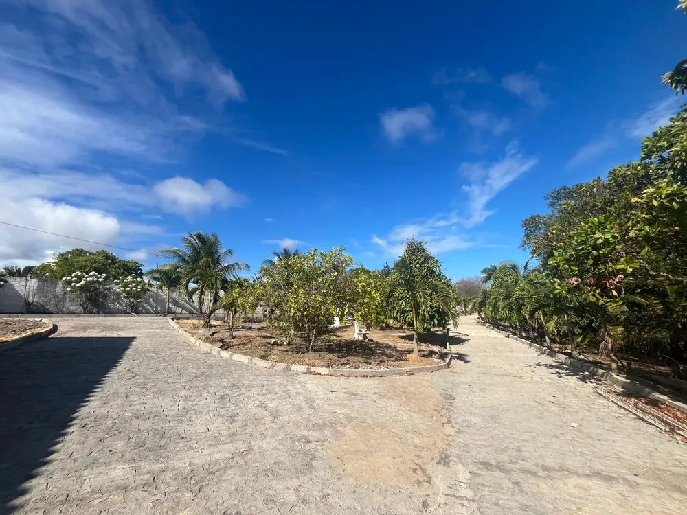 Chácara, 3 quartos, 7800 m² - Foto 3