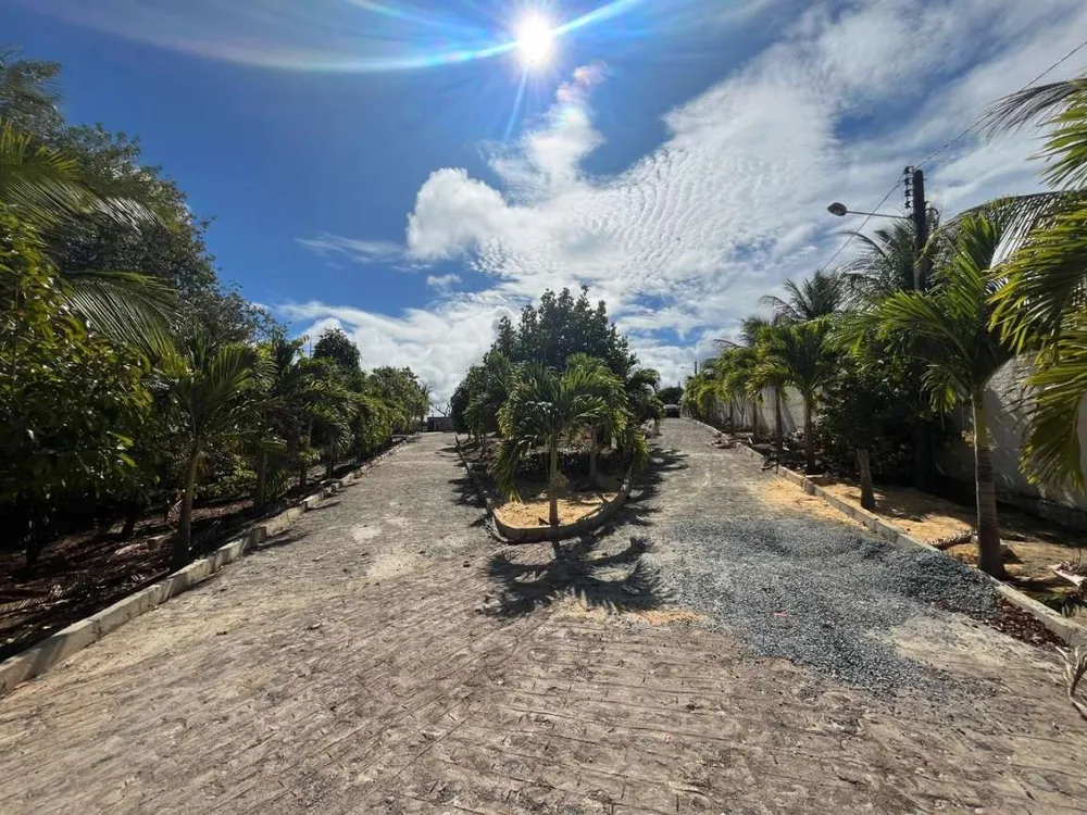Chácara, 3 quartos, 7800 m² - Foto 9