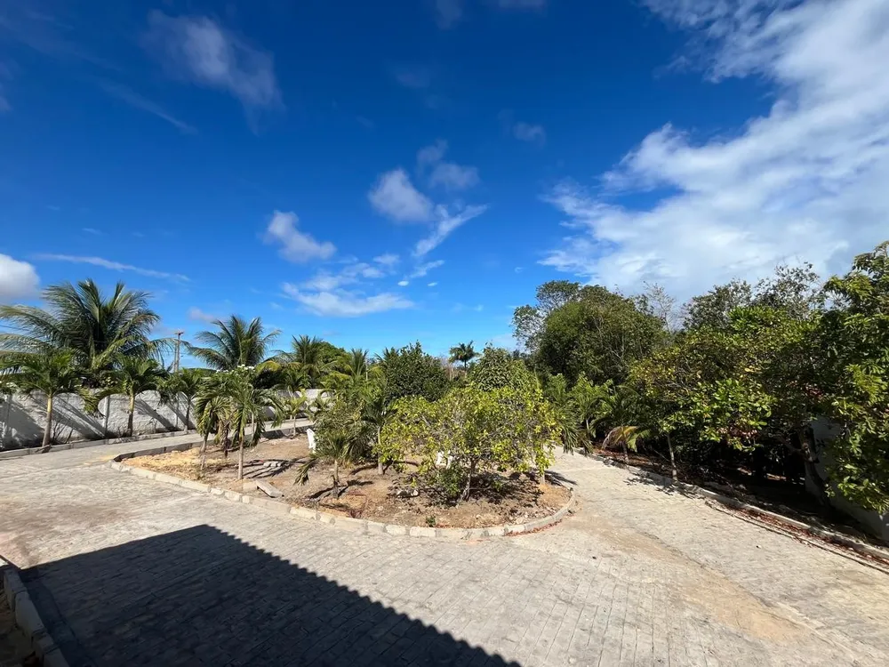 Chácara, 3 quartos, 7800 m² - Foto 10