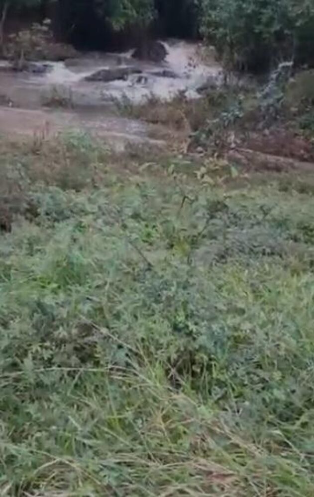 Fazenda, 20 hectares - Foto 6