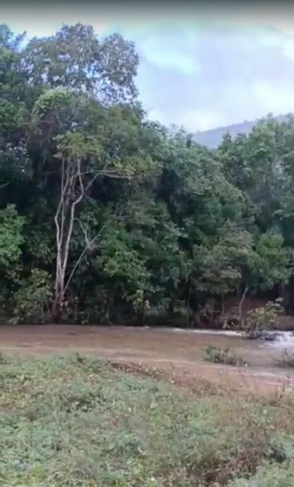 Fazenda, 20 hectares - Foto 5