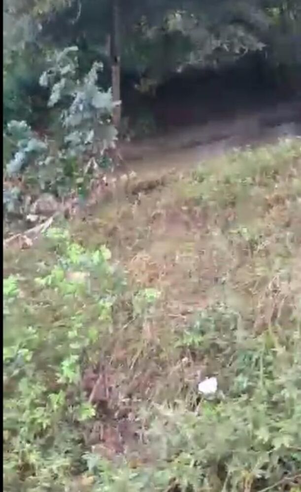 Fazenda, 20 hectares - Foto 3