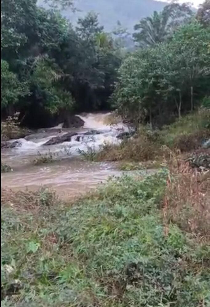 Fazenda, 20 hectares - Foto 1