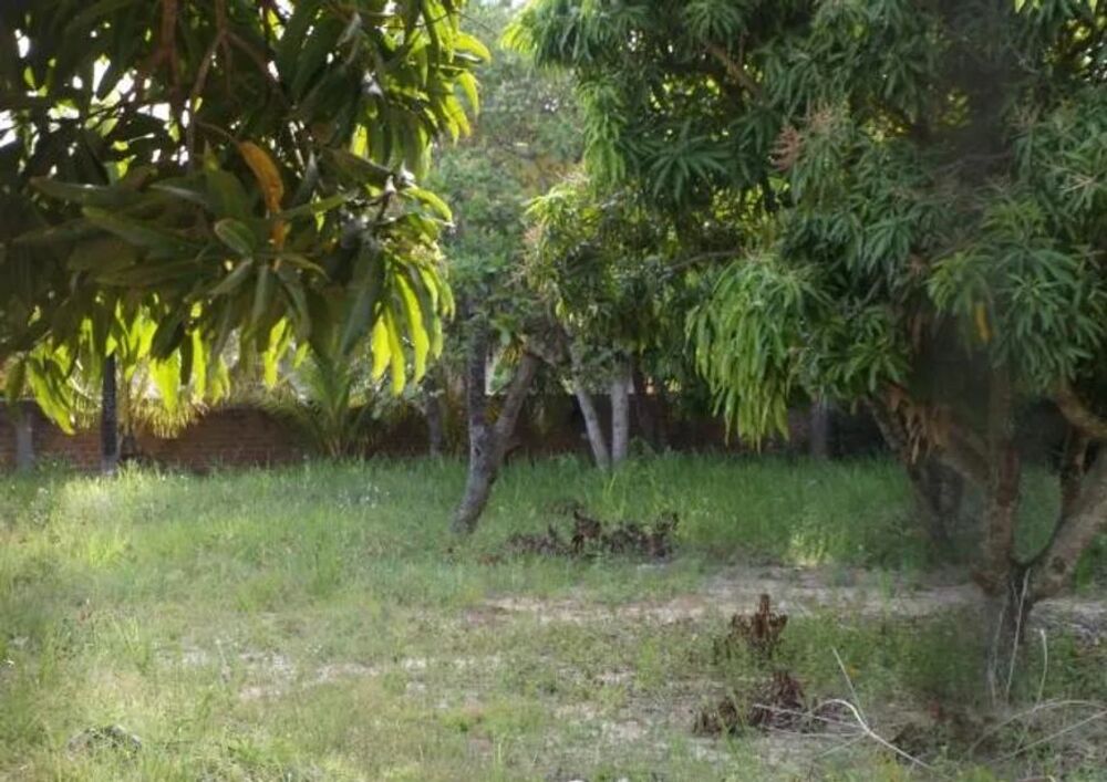 Terreno à venda, 1200m² - Foto 2