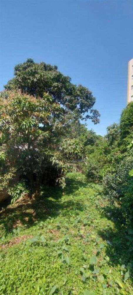 Terreno, 1470 m² - Foto 2