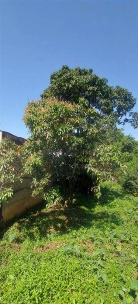 Terreno, 1470 m² - Foto 12