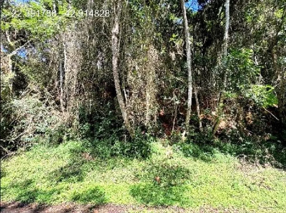 Terreno, 50 m² - Foto 1