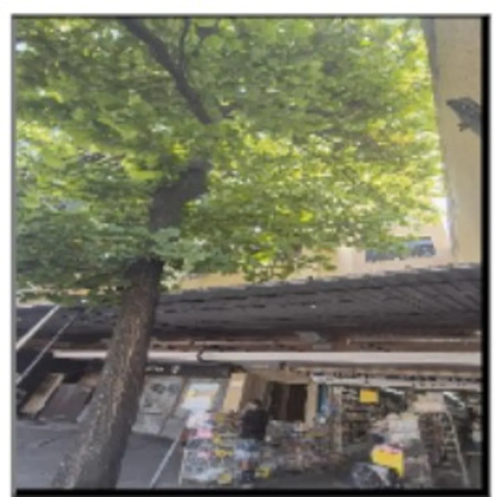 Imóvel Comercial, 34 m² - Foto 1