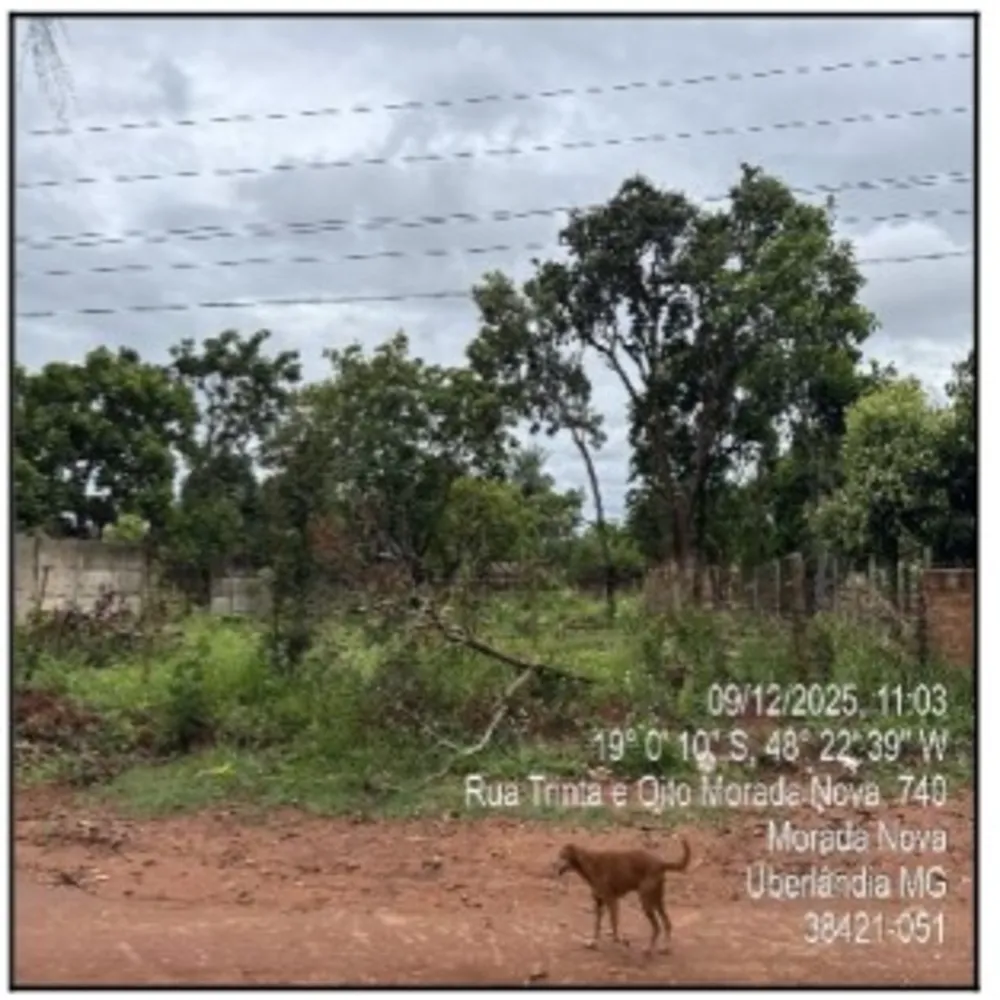 Terreno, 50 m² - Foto 1