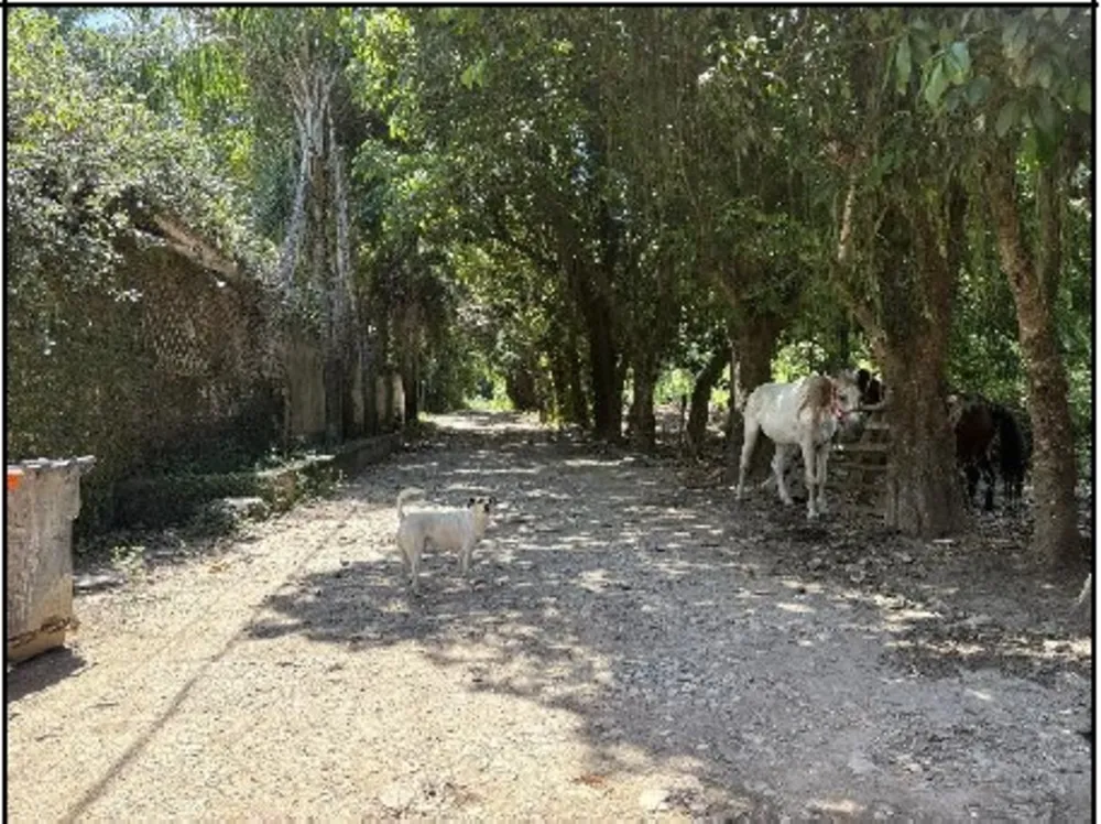 Terreno, 50 m² - Foto 1