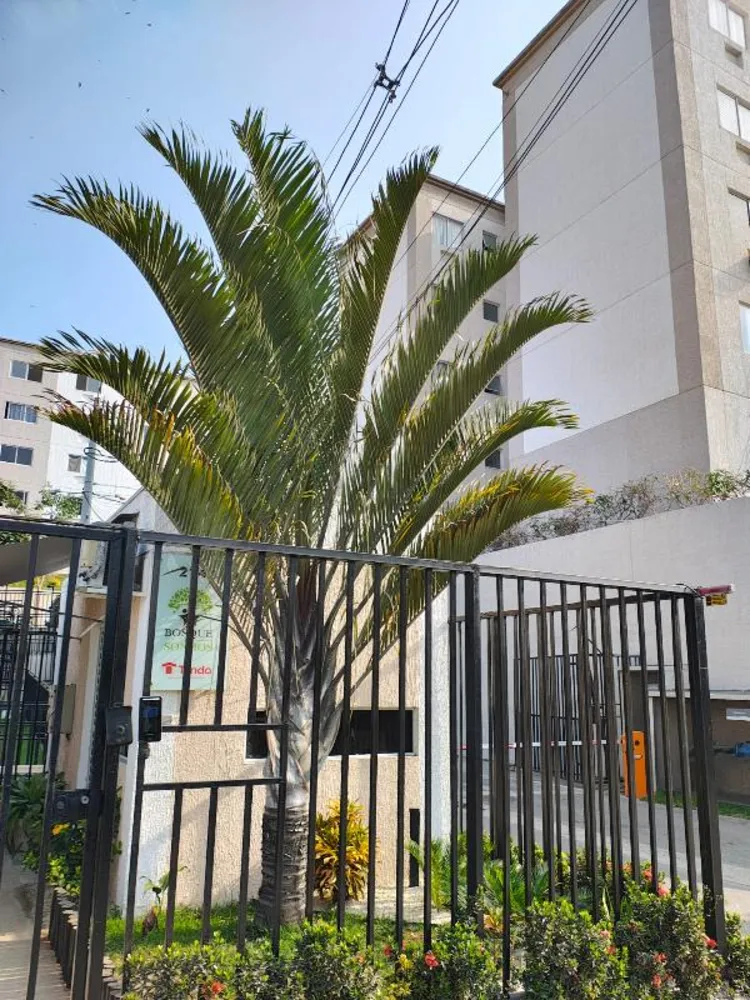 Apartamento, 2 quartos, 48 m² - Foto 2