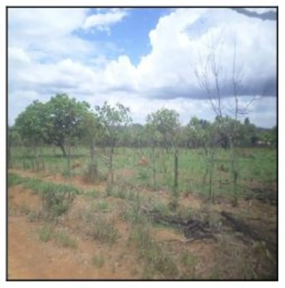 Terreno, 50 m² - Foto 1