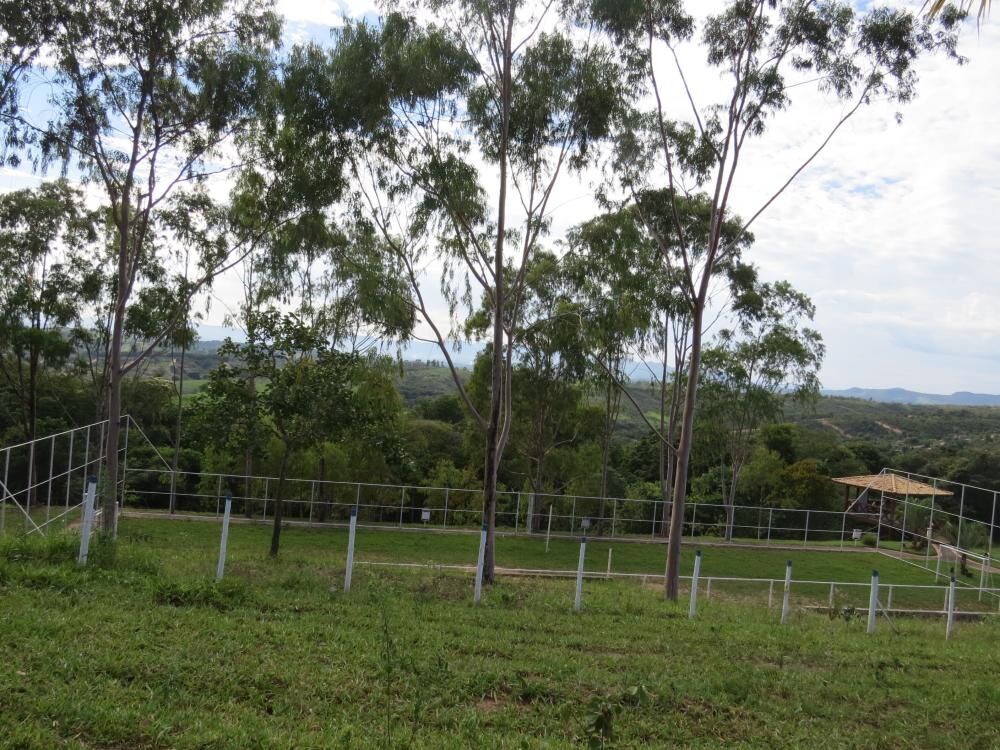 Casa, 8 quartos, 32000 m² - Foto 2