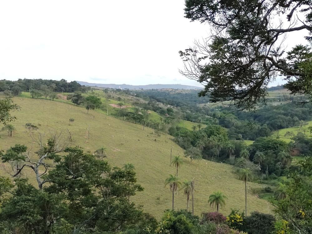 Casa, 8 quartos, 32000 m² - Foto 3