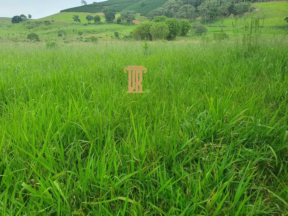 Fazenda, 208 m² - Foto 2