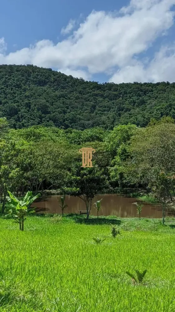Sítio, 1 quarto, 7000 m² - Foto 1