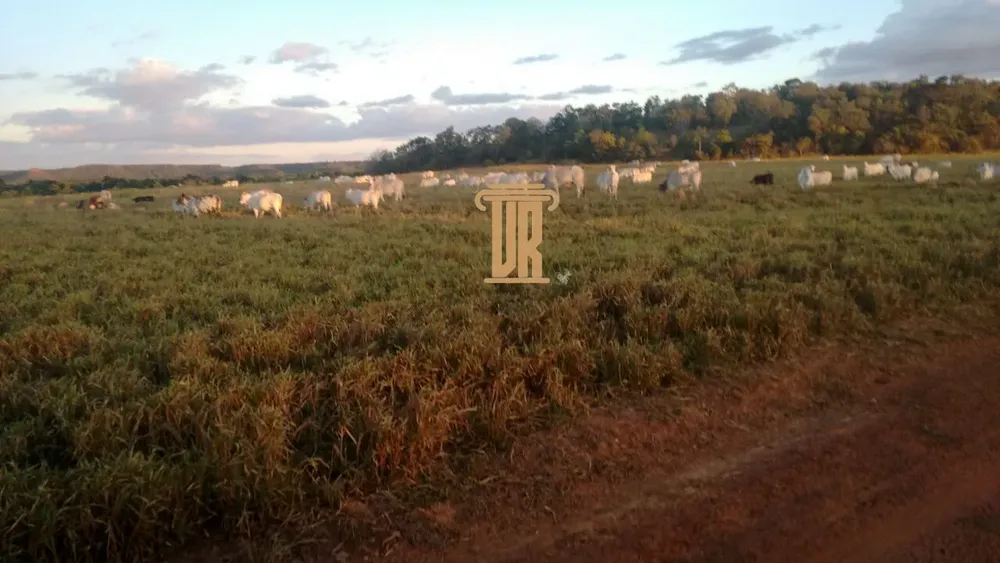 Fazenda, 19 m² - Foto 4